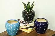Dot pattern colorful succulent pots | Surya Nursery
