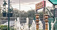 Best Plant Nursery In Chandigarh To Visit | Surya Nursery