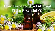 How Terpenes Are Different From Essential Oil by Nethan Paul - Issuu