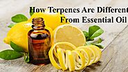 How Terpenes Are Different From Essential Oil by Nethan Paul - Issuu