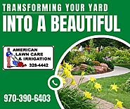 Clean and Practical Solutions for Landscape Design