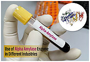 Use of Alpha Amylase Enzyme in Different Industries