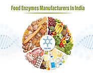 Food Enzymes Manufacturers In India | Enzymes for Food Industry - Ultreze Enzymes