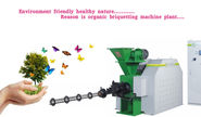 How briquetting machine exporters spreading pollution free method?