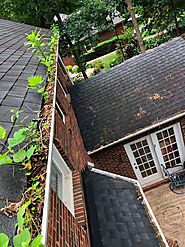 Top roofer contractor in Charlotte NC and Greenville SC explain roof rot