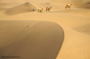 Thar Desert