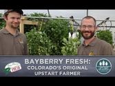 BayBerry Fresh: An Innovative Vertical Farm in Ft. Collins