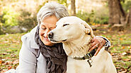 Useful Tips to Take Care of Senior Pets