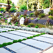 A Modern Garden Design Sensibility - FineGardening