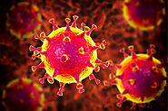 6 Nutrients That Help Your Immune System Fight Coronavirus - Skinn Bar TX