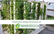 Upstart Farmer Fresh with Edge Featured by Seedstock