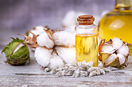 Why choose certain oils for cooking – cottonseed oil and sunflower oil? – 360healthyfoood