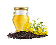 Website at https://litamiller2020.wixsite.com/mysite/post/what-make-oil-like-sarson-ka-tel-and-sunflower-oil-in-india...