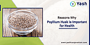 7 Benefits of Psyllium Husk Powder