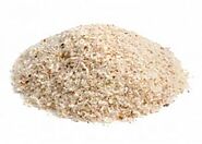 Premium Quality psyllium husk manufacturer in India