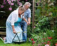 What Are the Health Benefits of Gardening for Aged People?