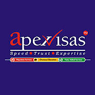 Lets have a look on Apex Visas reviews