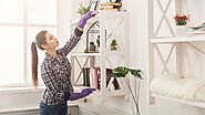 The Expert Guide to House Cleaning in Spring & Fall