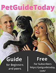 PetGuideToday - Magazines and Guides For PetLovers.