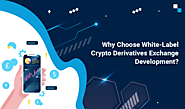 The Advantages of Choosing Whitelabel Crypto Derivatives Exchange Development Services