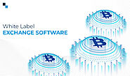 Antier Solutions: World’s best white label crypto exchange software company