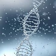 Learn more about telomere testing in Miami