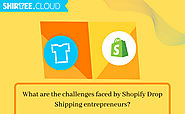 What are the challenges faced by Shopify Drop Shipping entrepreneurs?