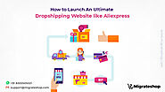 How to Launch an Ultimate Dropshipping Website like Aliexpress