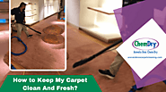How To Keep My Carpet Clean & Fresh | Chicago, IL