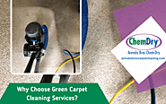 Website at https://www.arevalobroscarpetcleaning.com/reasons-of-green-carpet-cleaning-service/