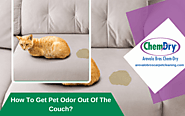 How To Get Pet Odor Out Of The Couch? | Chicago, IL