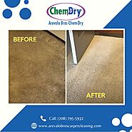 Green Certified Carpet Cleaning Services in Chicago