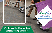 Why Do You Need Arevalo Bros Carpet Cleaning Services?