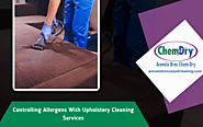 Controlling Allergens With Upholstery Cleaning Services