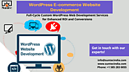 WordPress Development Company | Custom WordPress Development Services