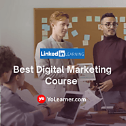 7 best+Free Digital Marketing Certifications on LinkedIn | YoLearner