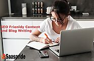 SEO Friendly Content and Blog Posts Writing Service