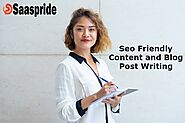 We create SEO Friendly Content and Blog Posts for Websites