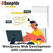 Experienced developers are best to develop a WordPress website with customization