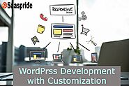 We are expert to develop a WordPress website with customization