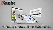 Develop a WordPress website with customization that increase your business sales