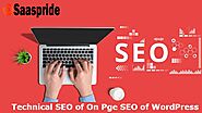 We are the most reliable expert to do on-page SEO and technical on-page optimization of WordPress site