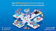 Best B2B Marketplace Script to Set on Your Successful B2B eCommerce Business