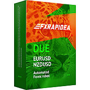 FXRapidEA DUE : Profitable Forex Expert Advisor for MT4 & MT5