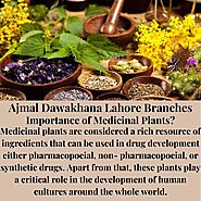 Examples and Trends in the Use of Herbal Products, Herbal Medicine (ajmal dawakhana lahore branches), and Herbal Medi...