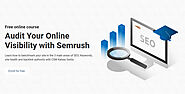 Audit Your Online Visibility with Semrush