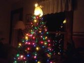 Early Morning Christmas Tree View #MyAudio #Audio #AudioFun #FiremanRich #HappyHolidays #MerryChristmas