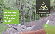 Estimated Tree Trimming Cost | Lake Oswego, OR