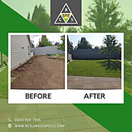 Landscape Redesign and Installation in Portland OR