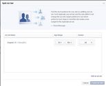 Facebook Allowing Advertisers to Split Ad Sets - AllFacebook